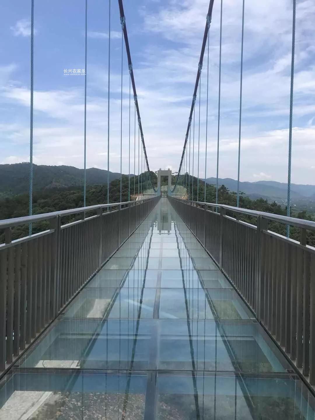 国内第二长的玻璃桥-容县都峤山白鹤云渡玻璃吊桥