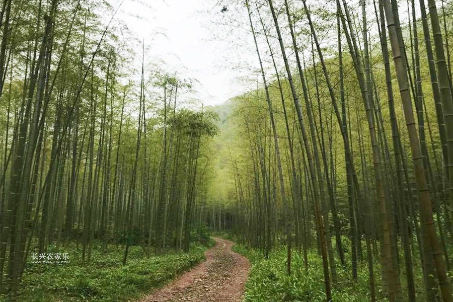 长兴农家乐风景